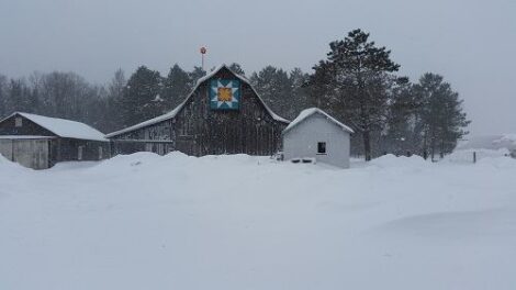 Standing Strong:  Our Barn Turns 100 Image
